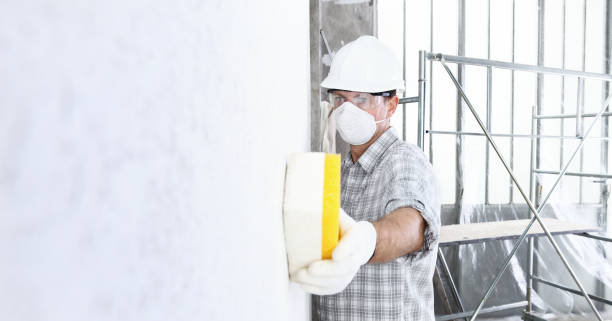 Why You Should Choose Our Mold Remediation Services in Cedar Falls, IA