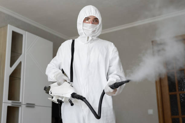 Mold Remediation for Vacation Homes in Cedar Falls, IA